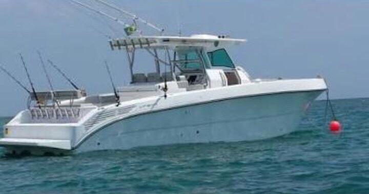 Sedna LF 365 - Ano 2016